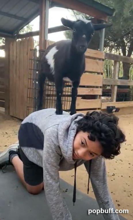 Goat Yoga for kids at Goods and Goats Market - Spencer Freibrun - popbuff.com