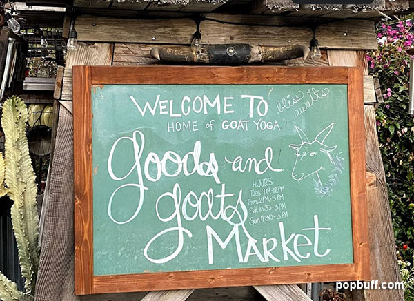 Goods and Goats Market in San Juan Capistrano - popbuff.com