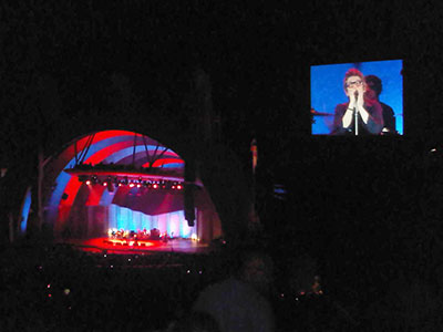 Psychedelic Furs at Hollywood Bowl