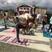 Goat Yoga Photo Courtesy of Goods and Goats Market San Juan Capistrano